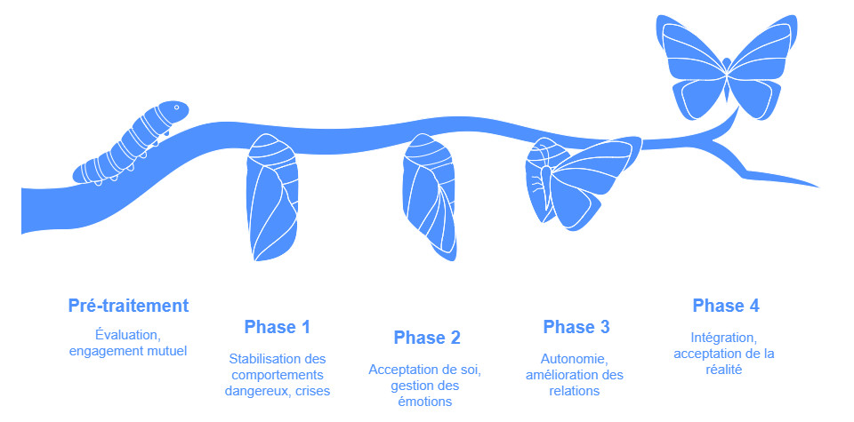 Phases du traitement psychothérapeutique